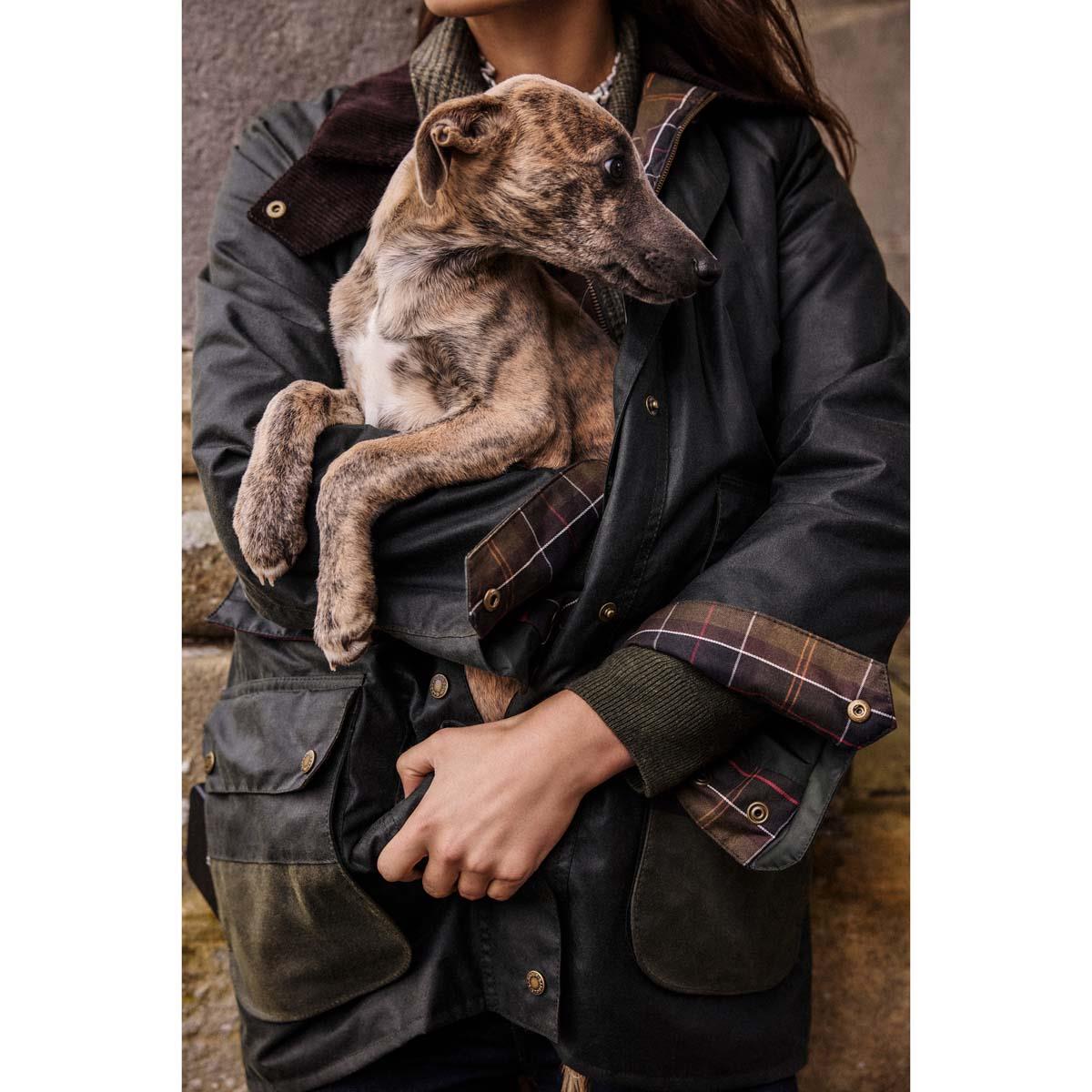 Sage/Classic Barbour Womens Modern Border Wax Jacket Lifestlye