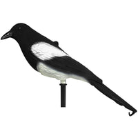 Road Sport Magpie Decoy