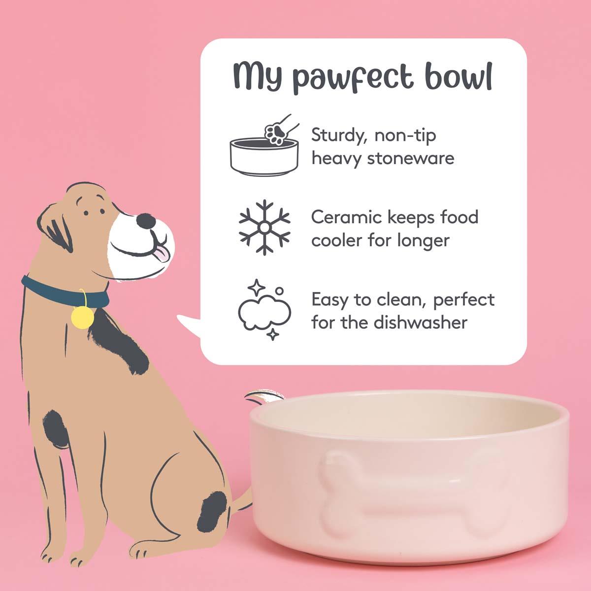 Mason Cash Colour Dog Bowl 20cm Cream INFO2