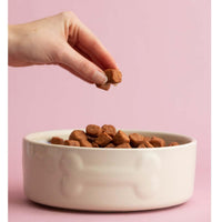 Mason Cash Colour Dog Bowl 20cm Cream LS3