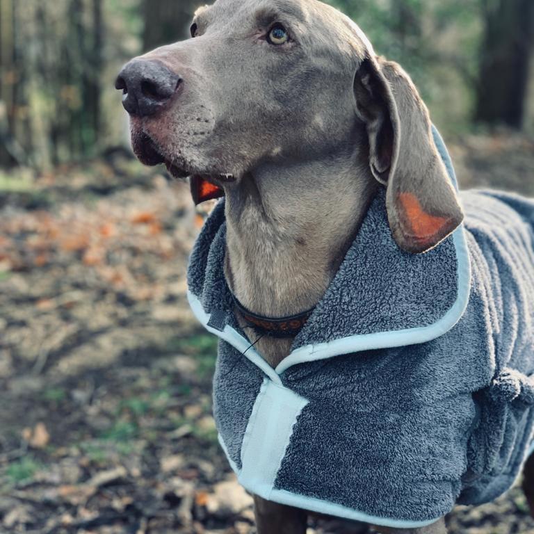 Henry Wag Microfibre Drying Coat