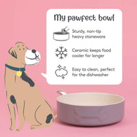 Mason Cash Colour Dog Bowl 15cm Grey INFO2