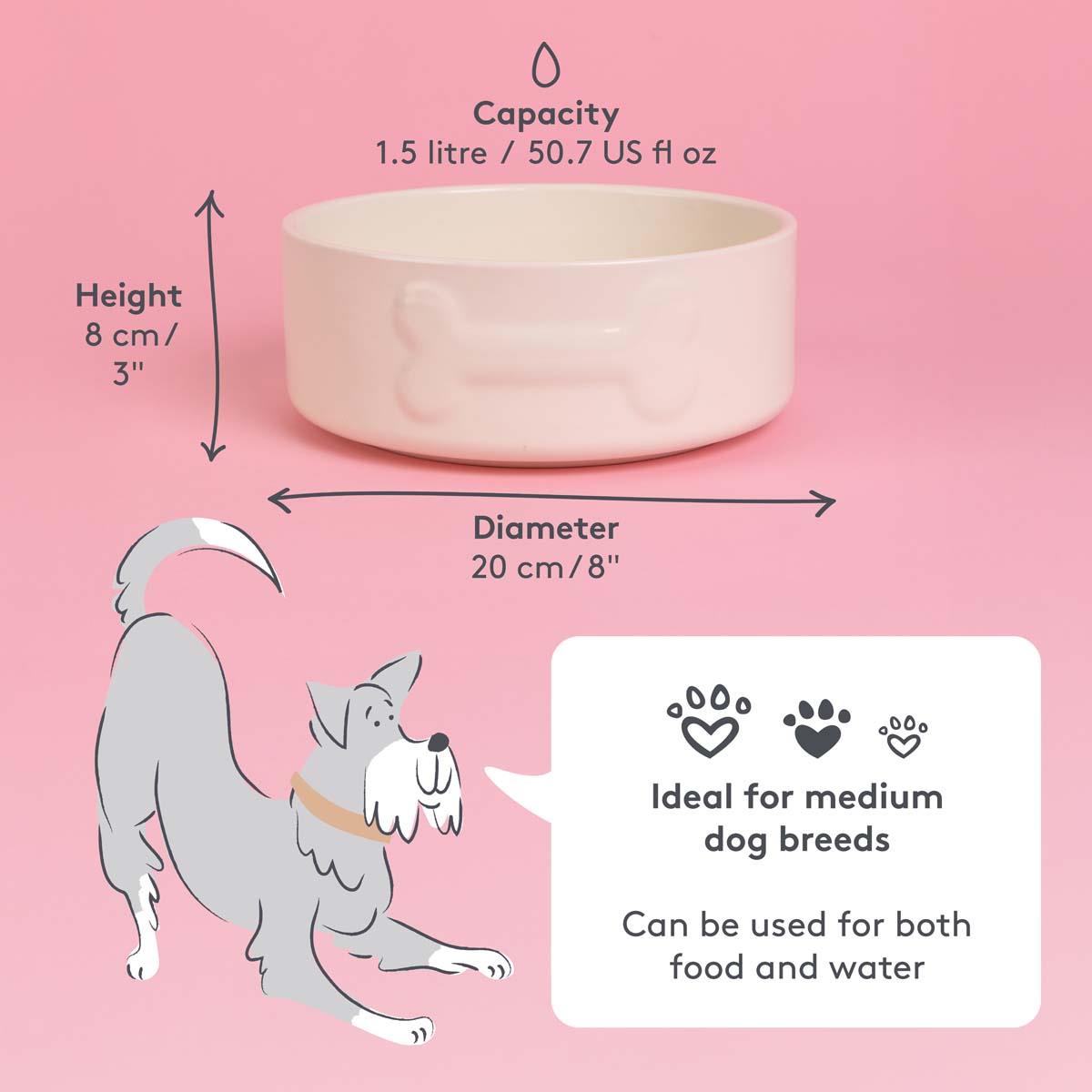 Mason Cash Colour Dog Bowl 20cm Cream INFO