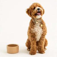 Mason Cash Cane Lettered Dog Water Bowl 15cm DOG