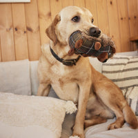 Barbour Dog Hedgehog Toy Lifestyle