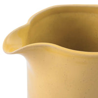 Jamie Oliver Big Love Perfect Pitcher 1.5L Spout