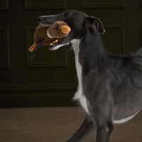 Barbour Dog Flying Duck Toy grey dog playing