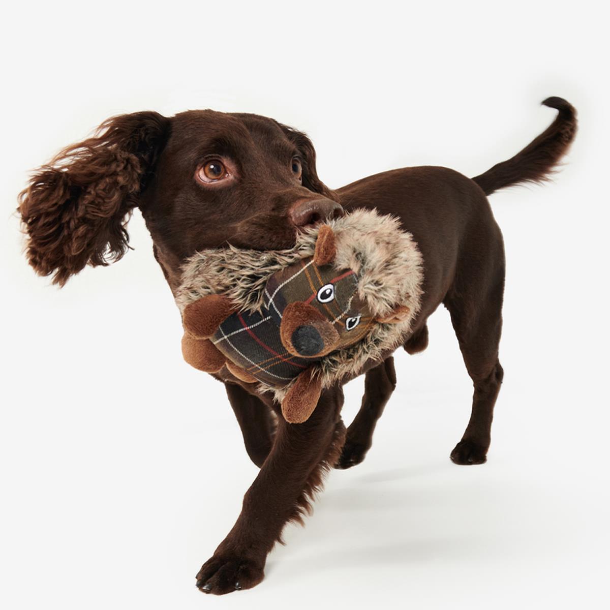 Barbour Dog Hedgehog Toy and Dog