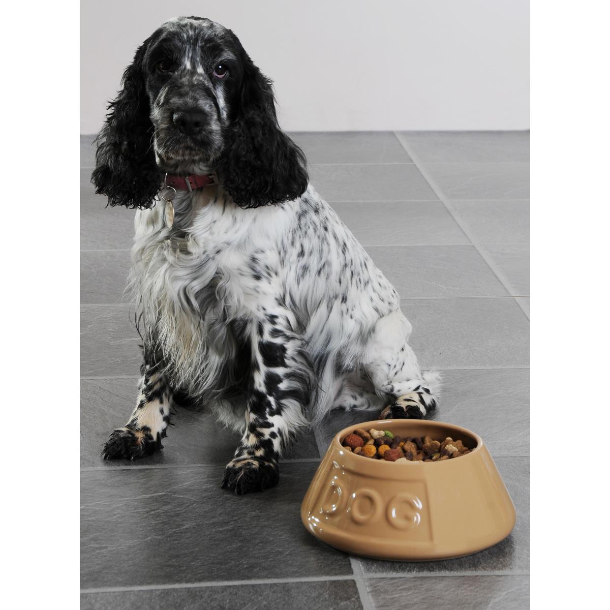 Mason Cash Cane Non Tip Lettered Dog Bowl 21cm Lifestyle