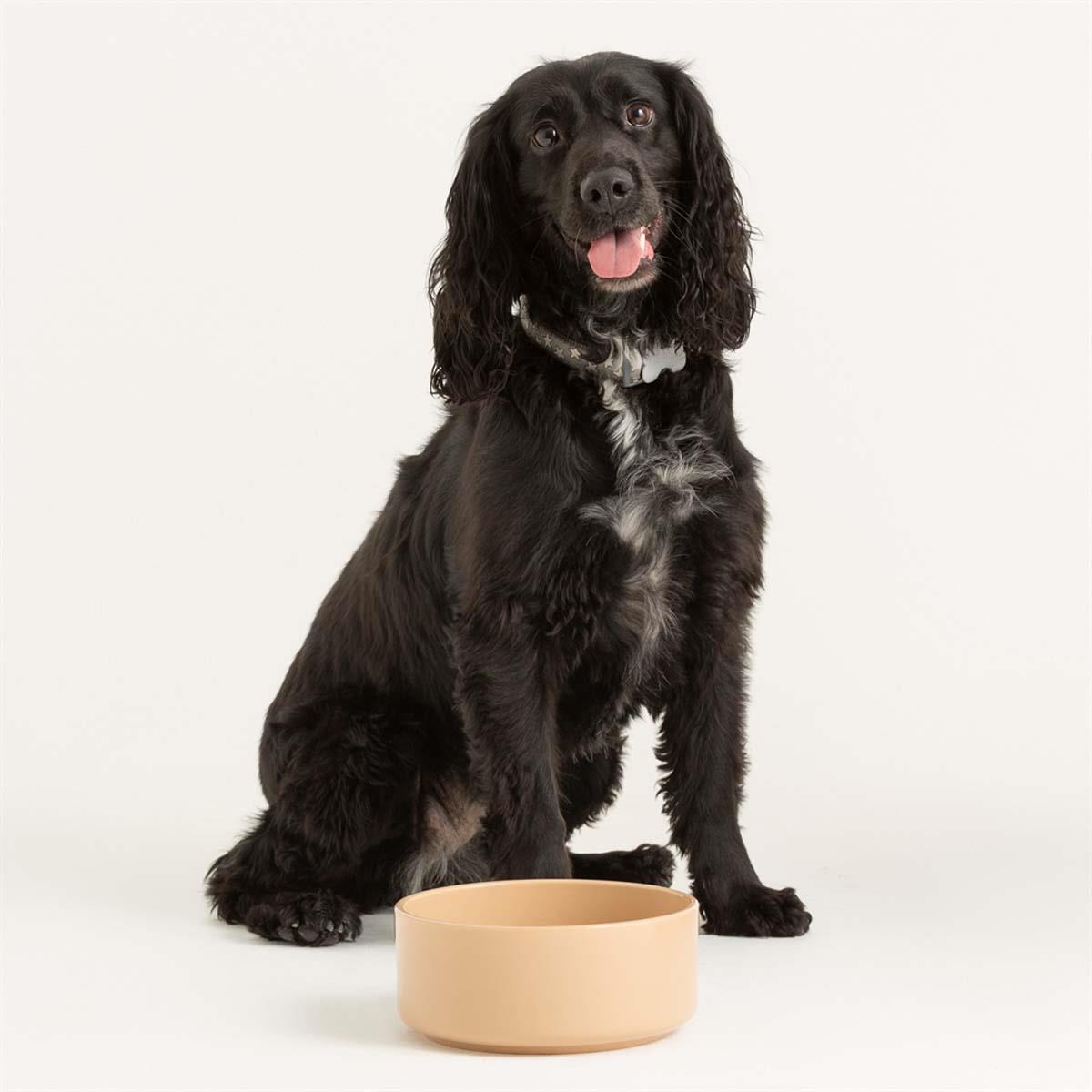 Mason Cash Cane Pet Bowl 15cm