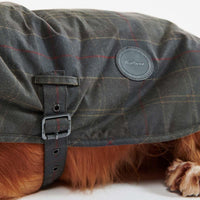 Classic Tartan Barbour Tartan Wax Dog Coat On Dog
