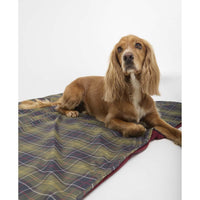 Classic Tartan/Red Barbour Dog Towel/Blanket on model