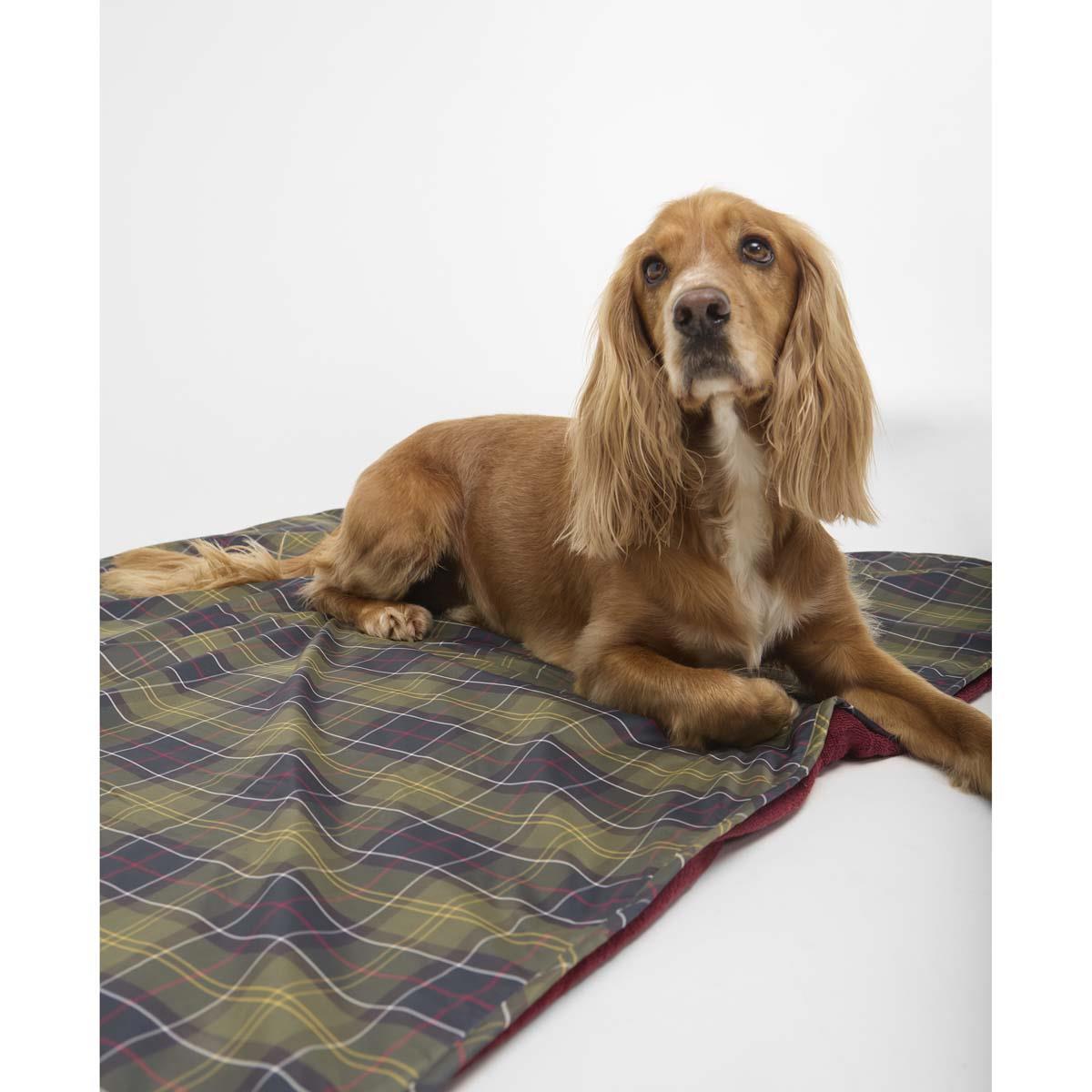 Classic Tartan/Red Barbour Dog Towel/Blanket on model