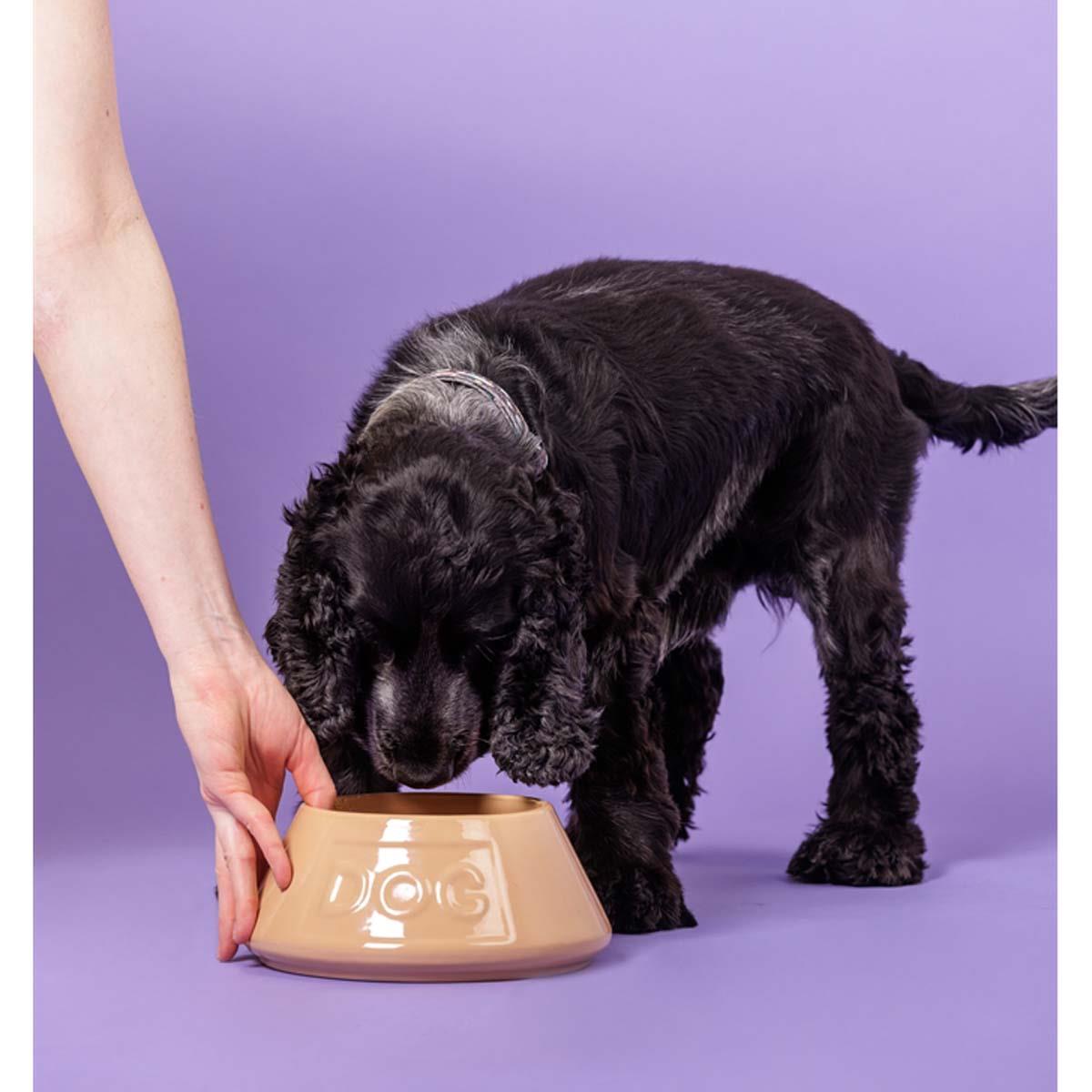Mason Cash Cane Non Tip Lettered Dog Bowl 21cm DOG