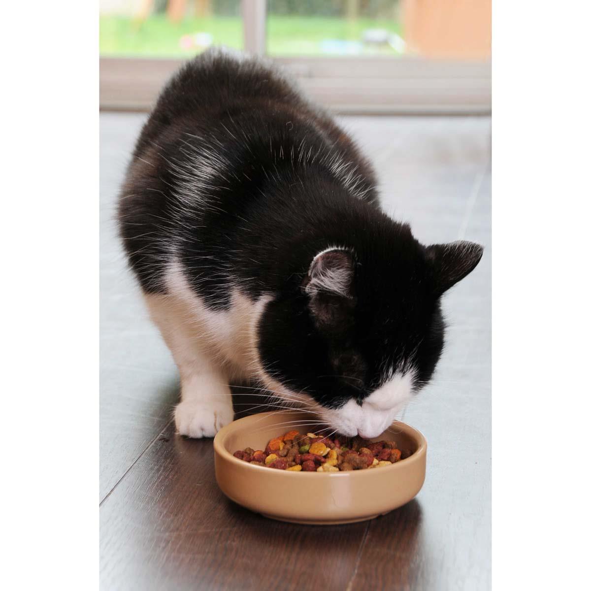Mason Cash Cane Cat Saucer 13cm