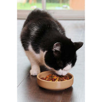 Mason Cash Cane Cat Saucer 13cm CAT
