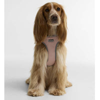 Barbour Evie Dog Harness