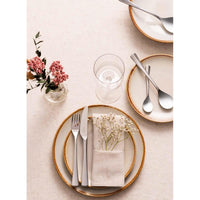 Viners Darwin 16 Piece Cutlery Set LS4