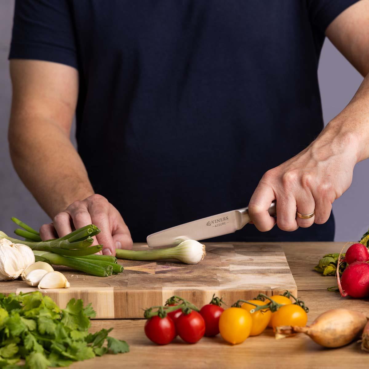 Viners Assure Stainless Steel Utility Knife