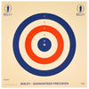 Bisley Paper Target