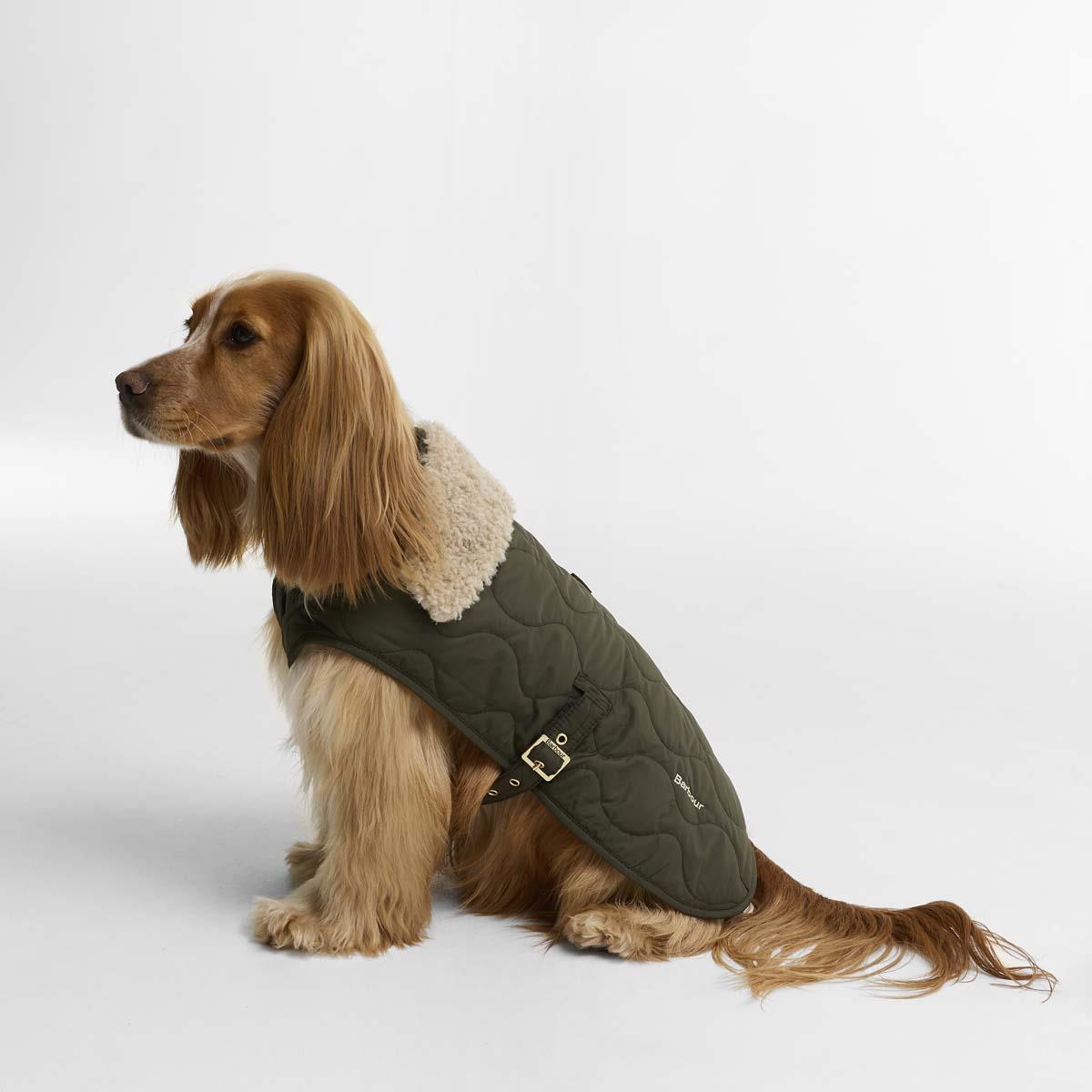 Barbour Beith Quilted Dog Coat
