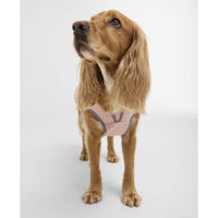 Gardenia Pink Barbour Evie Waterproof Dog Coat front