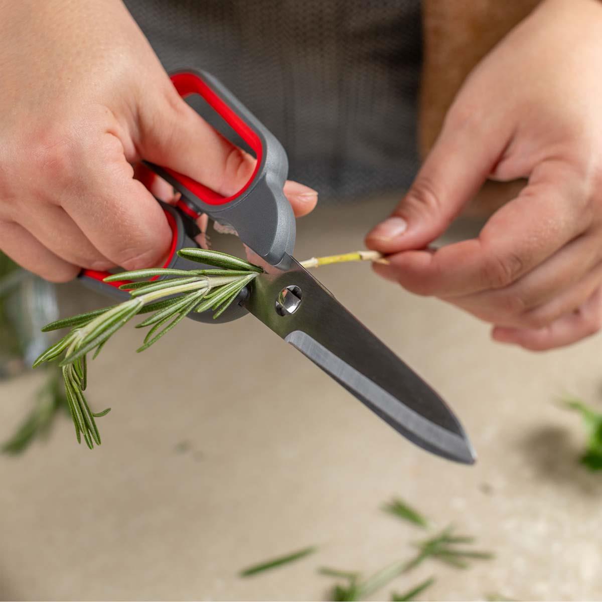 Kuhn Rikon Kitchen Shears Universal Stripping Herbs