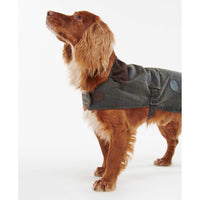 Classic Tartan Barbour Tartan Wax Dog Coat On Dog