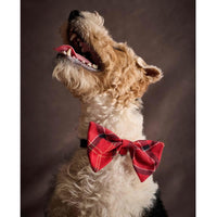 Barbour Tartan Dog Bow Tie