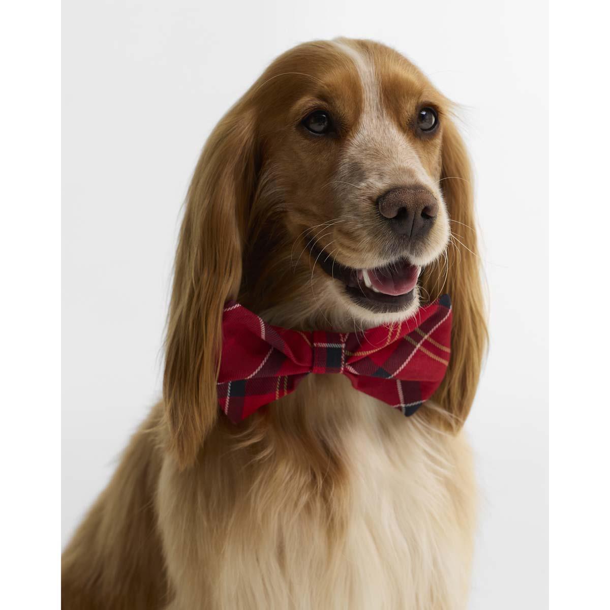 Barbour Tartan Dog Bow Tie