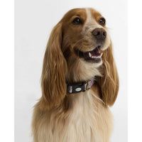 Barbour Tartan Printed Dog Collar