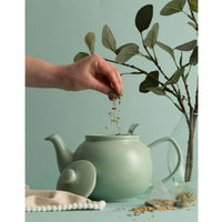 Price and Kensington 6 Cup Teapot LS6