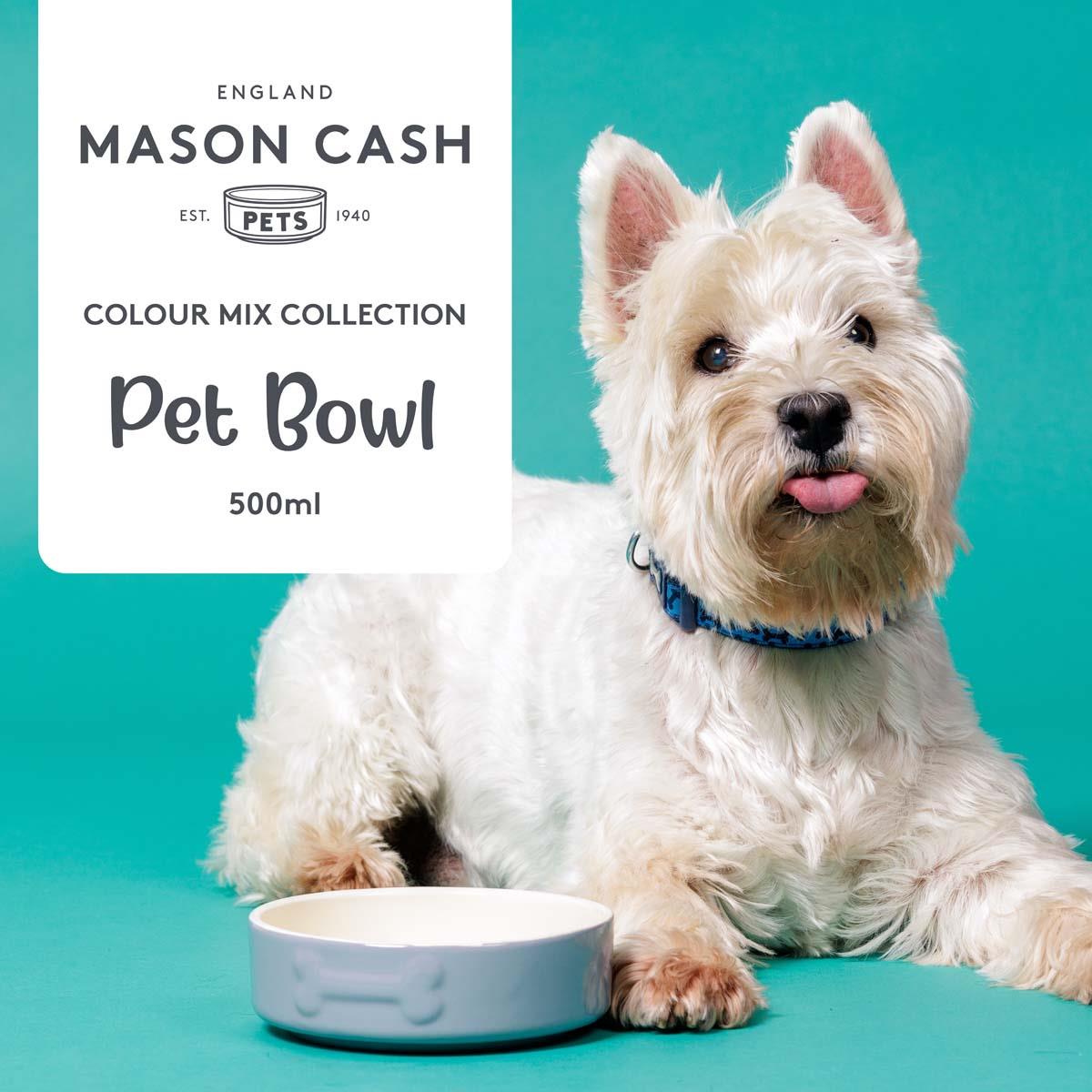 Mason Cash Colour Dog Bowl 15cm Grey INFO3