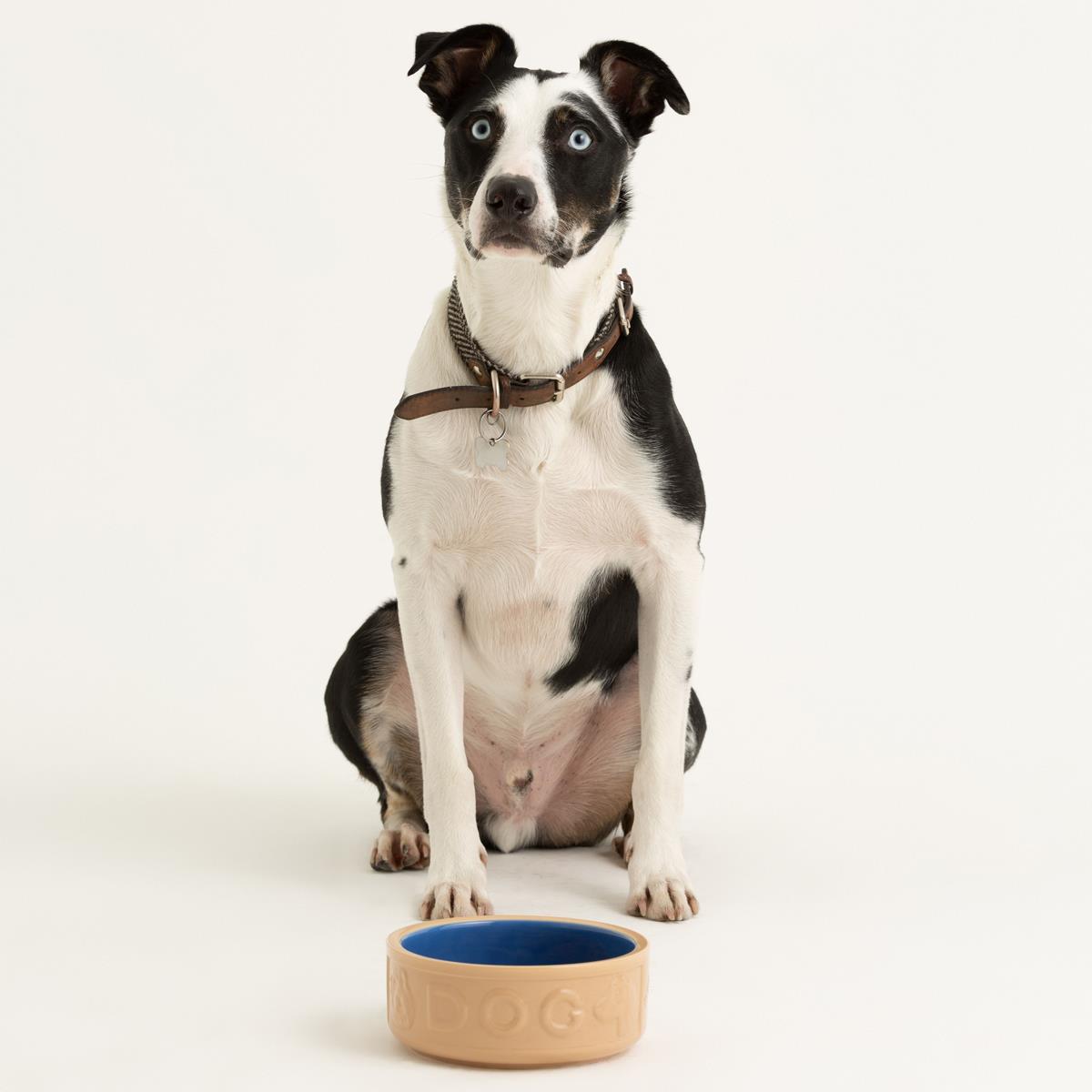 Mason Cash Cane and Blue Lettered Dog Bowl 18cm
