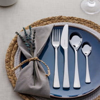 Viners Darwin 16 Piece Cutlery Set ls2