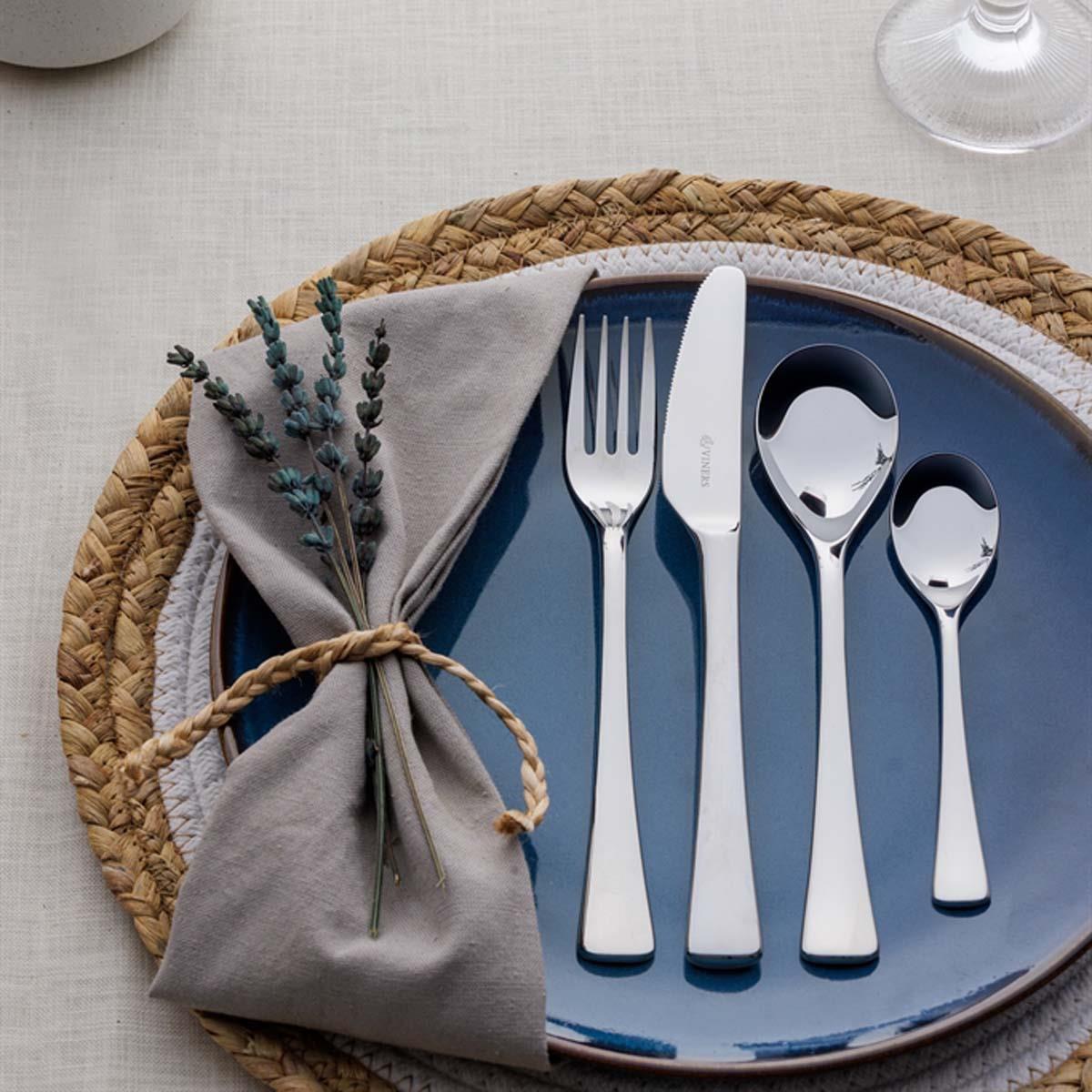 Viners Darwin 16 Piece Cutlery Set ls2