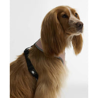 Barbour Evie Dog Harness