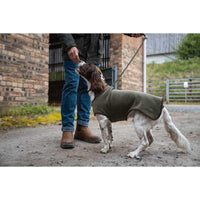 Lovat Hoggs of Fife Stenton Fleece Dog Coat lifestyle1