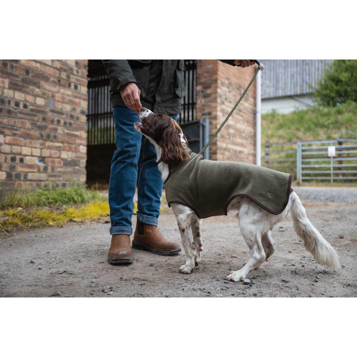 Lovat Hoggs of Fife Stenton Fleece Dog Coat lifestyle1