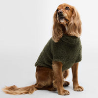 Olive Barbour Brindle Fleece Dog Jumper on dog