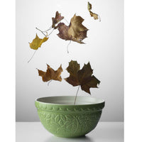 Mason Cash In The Forest S30 Mixing Bowl