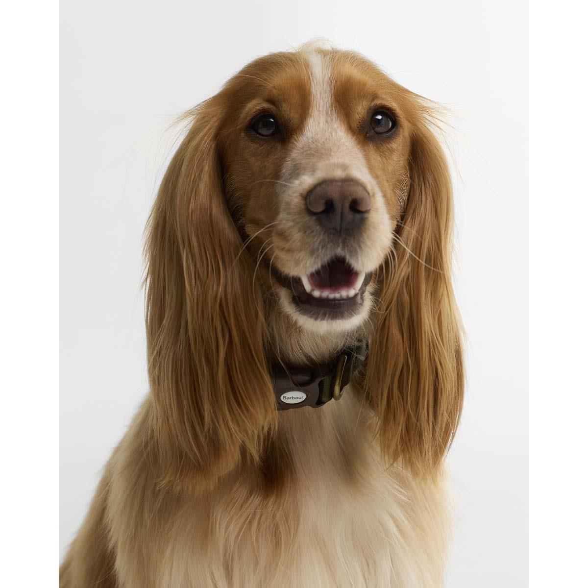 Barbour Tartan Printed Dog Collar