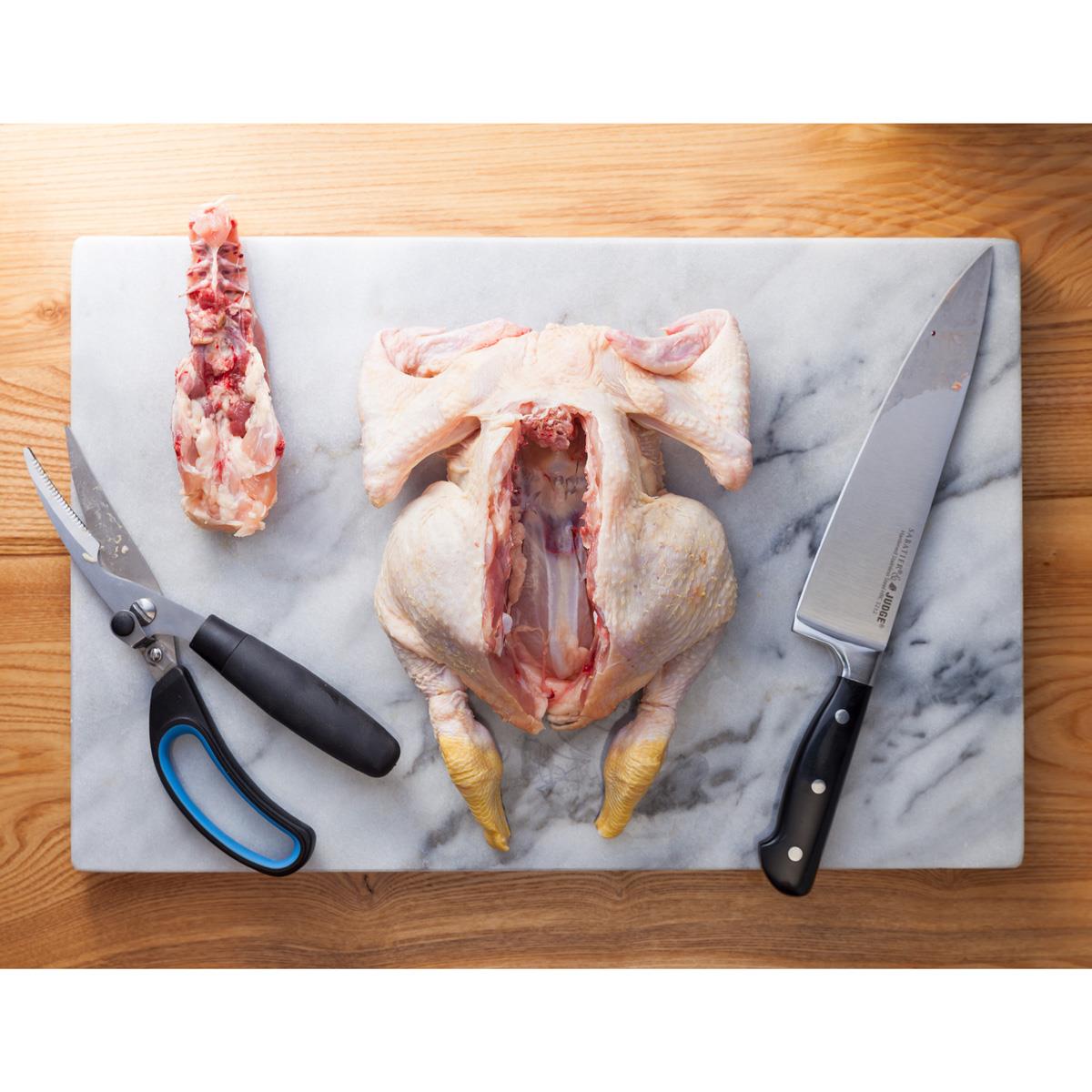 Judge Scissors Poultry Shears
