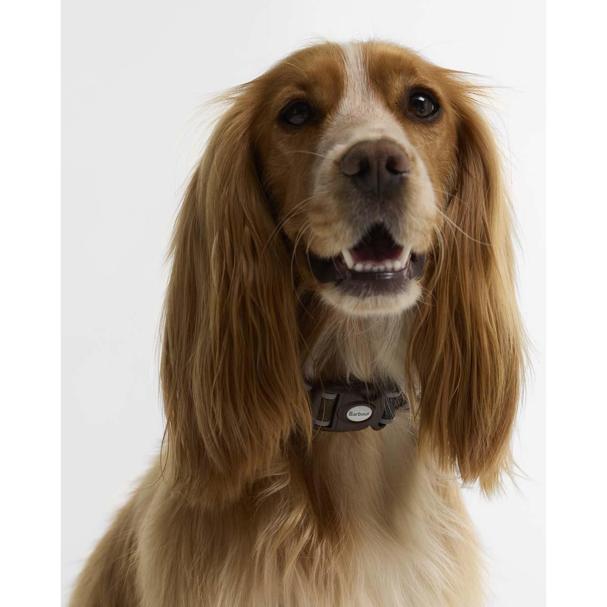 Barbour Reflective Tartan Dog Collar AW26